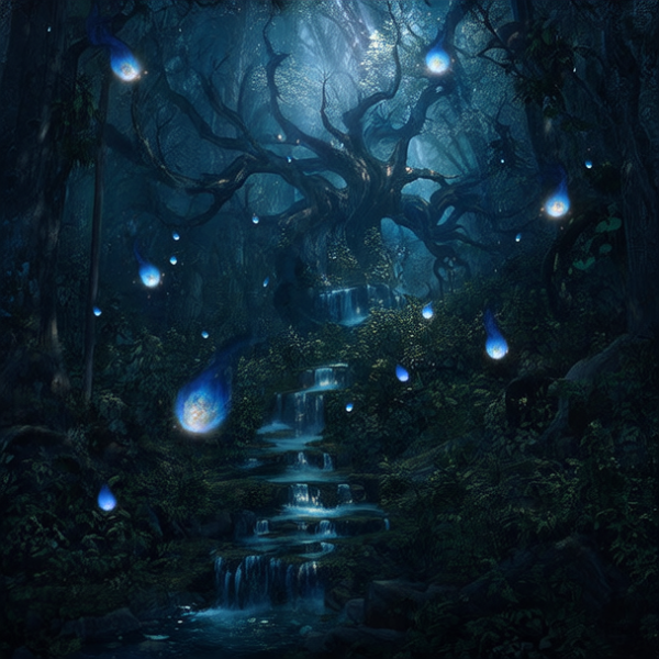 未来的魔法森林